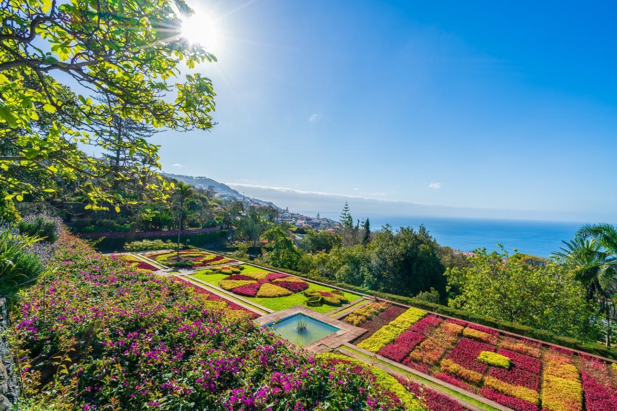 El jardín Botánico de Funchal, en Madeira