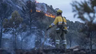 Madrid afronta la huelga de bomberos forestales en la época de mayor riesgo del año: "Vivimos una situación laboral insostenible"