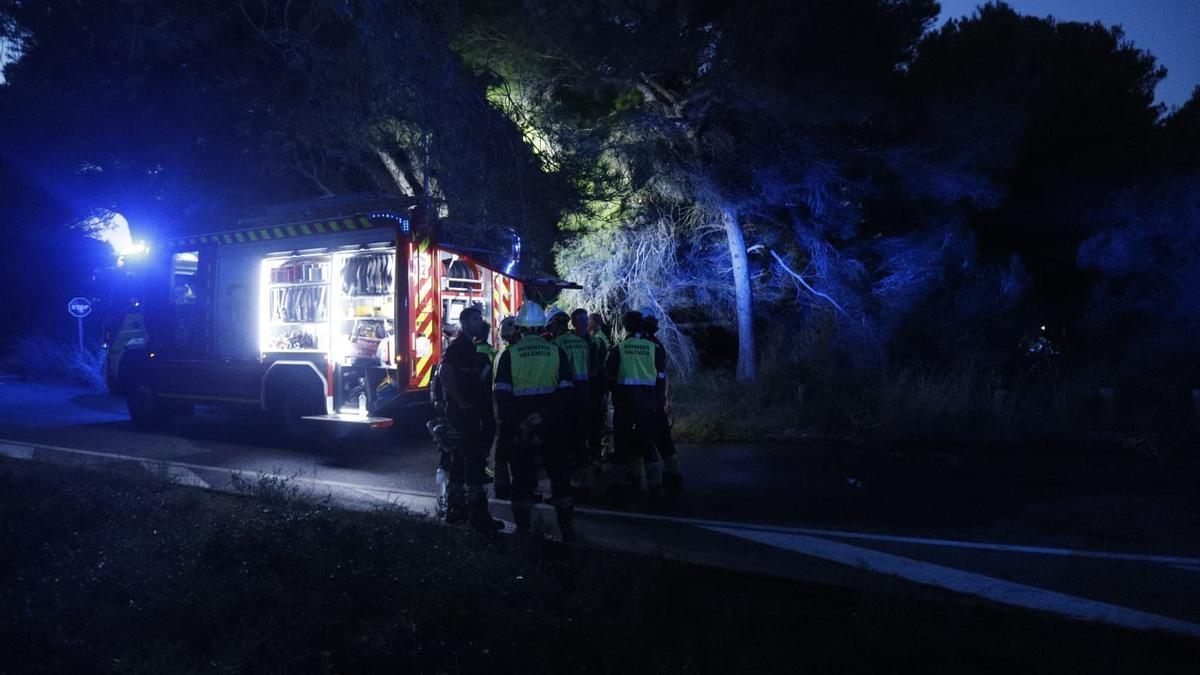 Rápida estabilización del incendio del Saler gracias a la eficaz actuación de los bomberos.