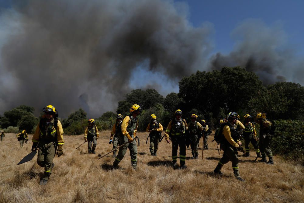 Incendio Pino del Oro y Castro de Alcañices