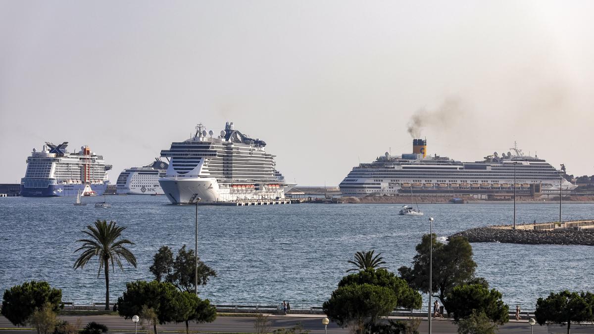 Cruceros en el puerto de Palma