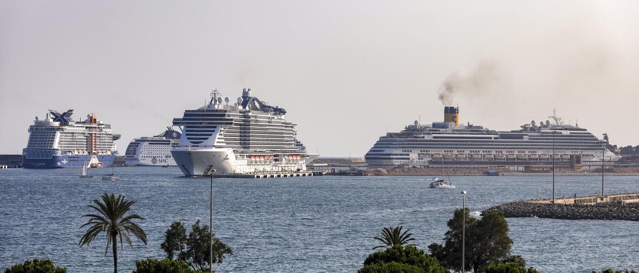 Cruceros en el puerto de Palma este verano.