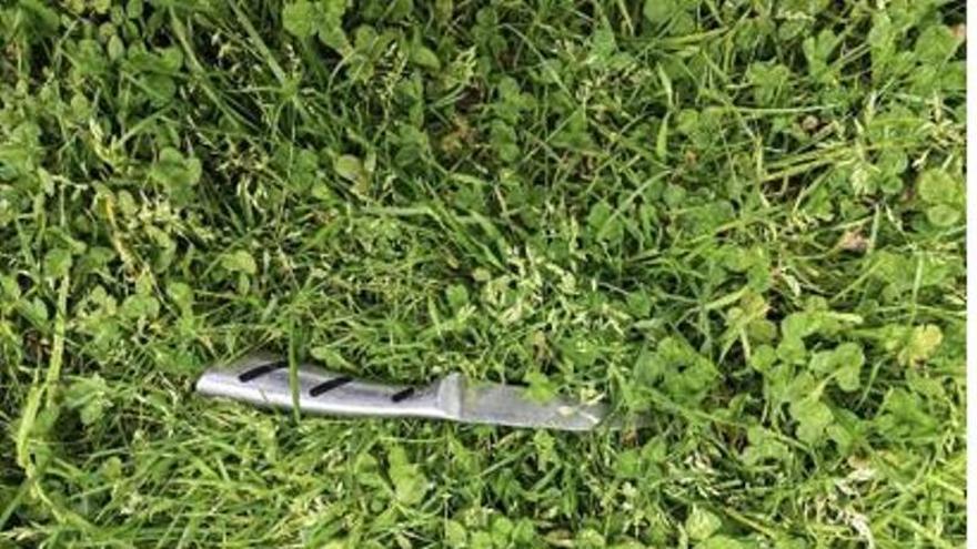 El PSOE alerta de la "degradación" de Meicende por la presencia de armas y drogas en los parques