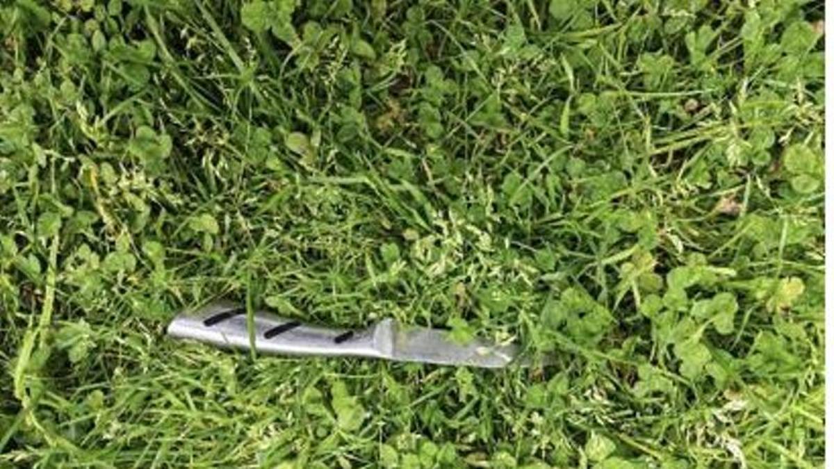 Navaja en un parque de Meicende.