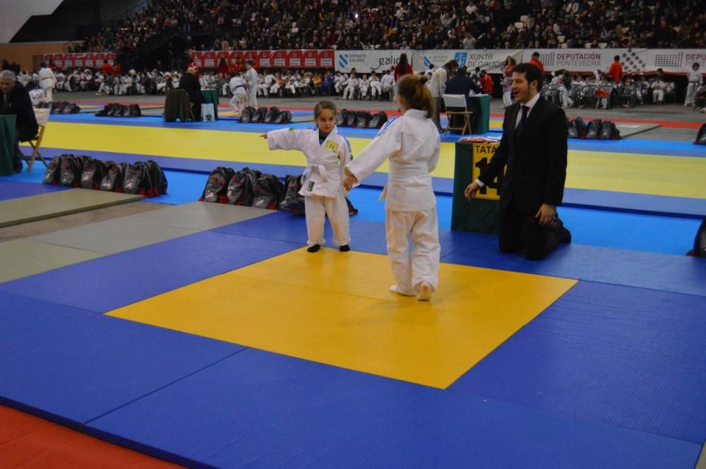 26ª edición de la Fiesta del Judo Infantil.