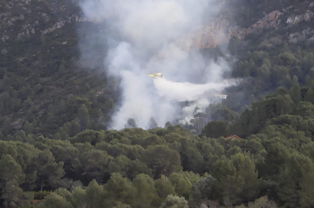 Un incendio forestal en Alzira amenza la Murta y dos centenares de viviendas