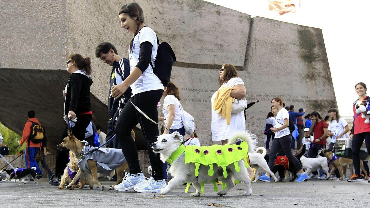 Perrotón 2024 ya tiene fechas para su carrera canina en Madrid