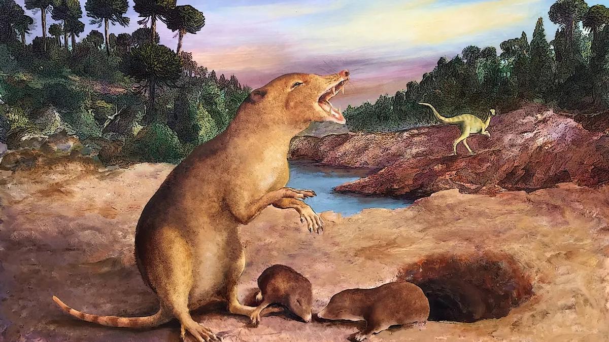 Descubren cuál fue el primer mamífero de la Tierra: un ratón de hace 225 millones de años