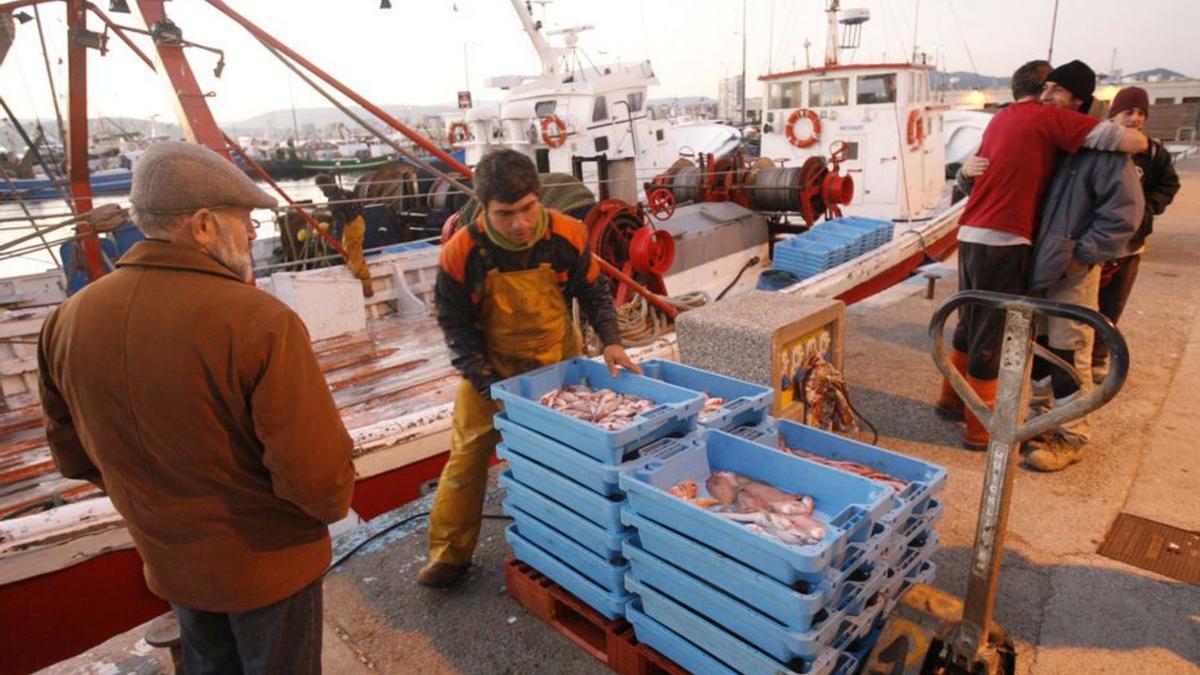 Diferents pescadors descarreguen peix a Palamós.