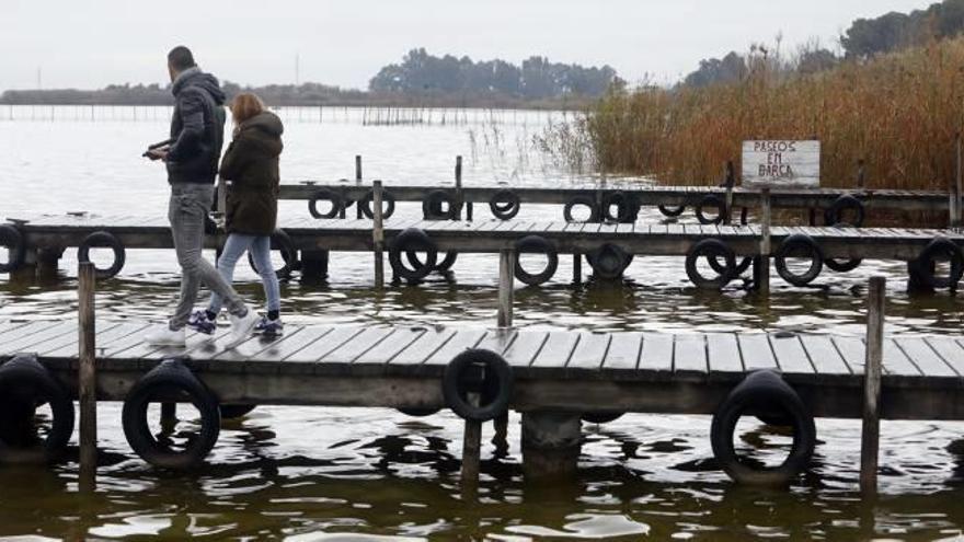 La Albufera está 20 centímetros por debajo de sus niveles óptimos de agua