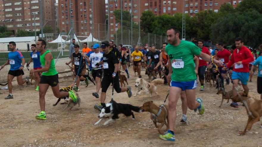 Un canicross celebrado en Alicante en fechas recientes