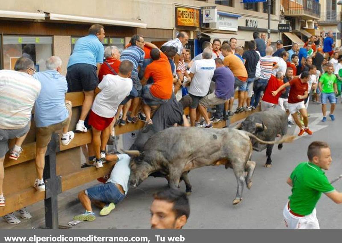 GALERÍA DE FOTOS -- Encierro de vértigo en la Vall d’Uixó GALERÍA DE FOTOS -- Encierro de vértigo en la Vall d’Uixó
