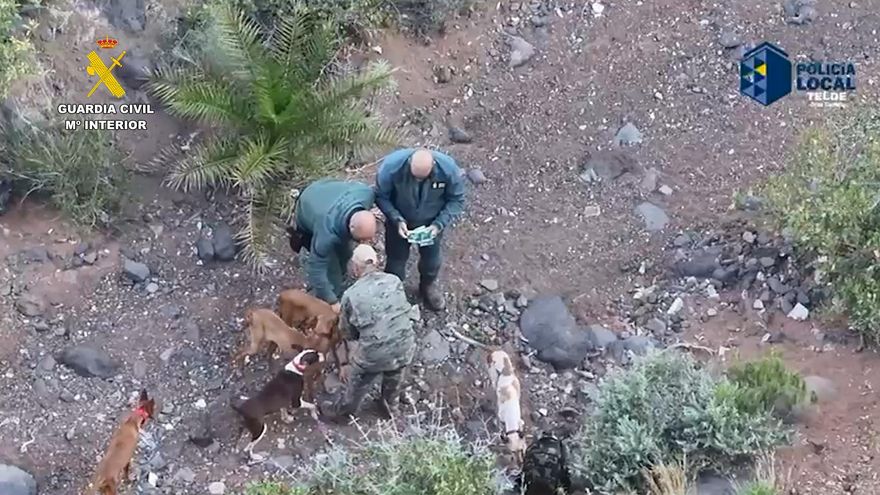 El Seprona y la Policía Local de Telde realizan un dispositivo especial de prevención contra el abandono animal
