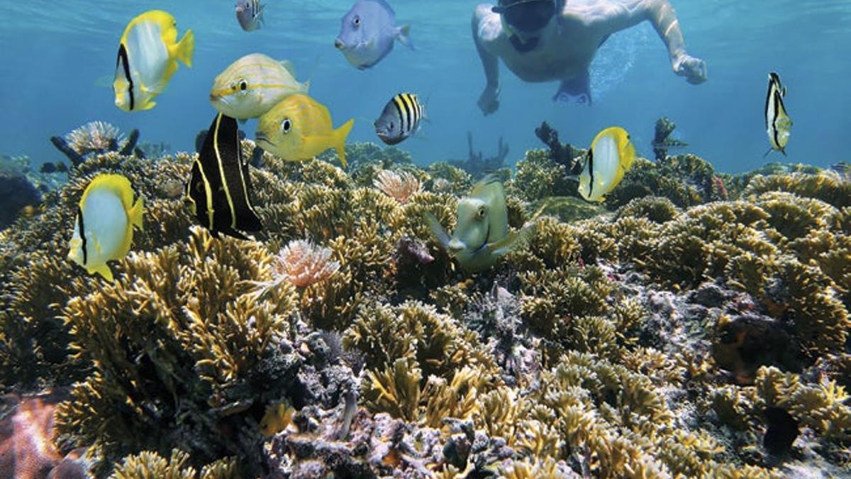 Buceo en Costa Rica