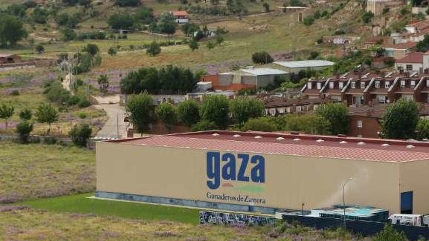 Terrenos de Leche Gaza donde realizar la ampliación.