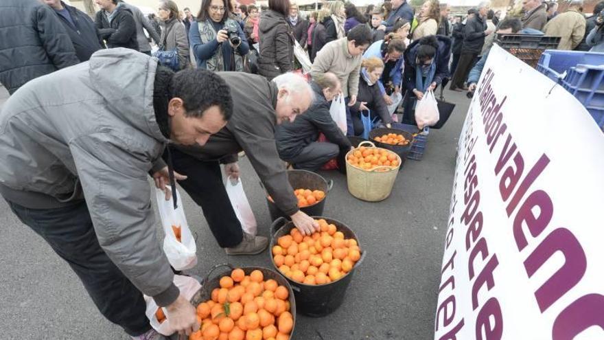 Los agricultores regalan 1.000 kilos de naranjas como protesta en Nules