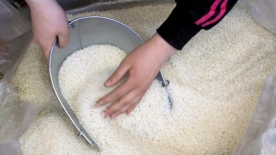 Ganar el Gordo de la Lotería de Navidad y encontrar un grano rojo en un saco de arroz, igual de posible