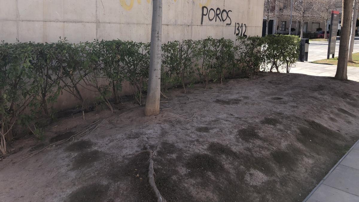 Pintadas y falta de vegegación en el parque en pleno centro de San Vicente.