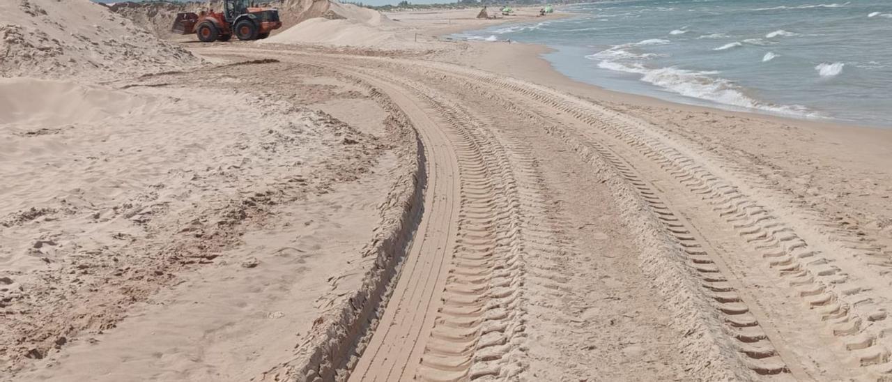 Gandia estalla contra Costas por ocultar que va a sacar arena de la playa en pleno verano