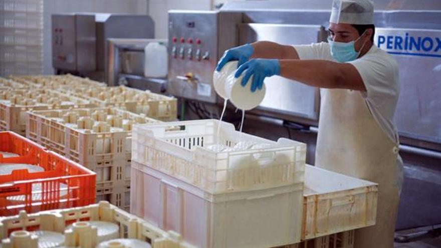 La elaboración del queso en la industria Maxorata. | la provincia
