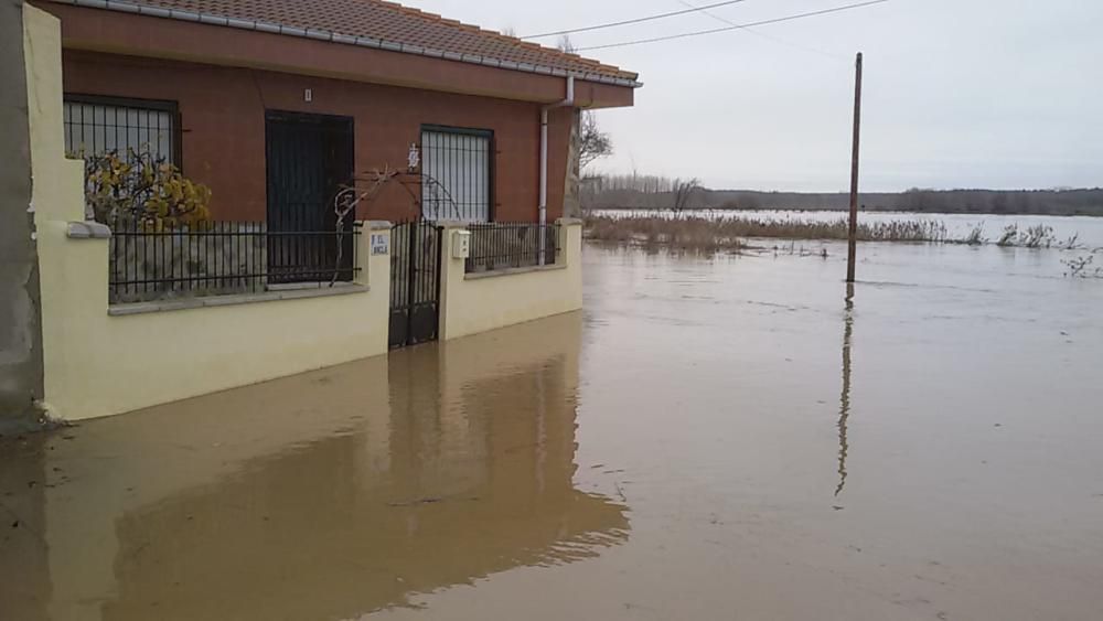 Los ríos se desbordan a su paso por Benavente