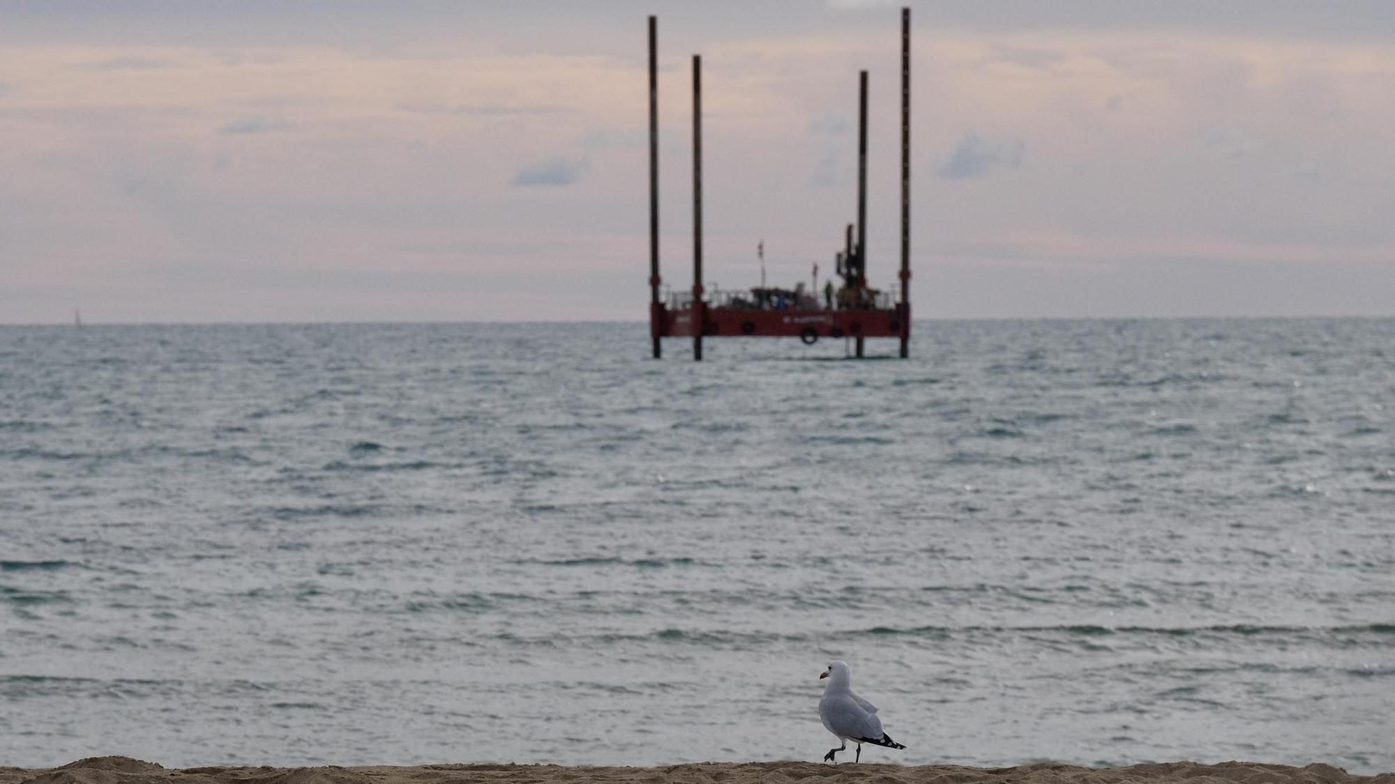 FOTOS: Una gran plataforma se instala en la bahía de Palma para prolongar el emisario de aguas sucias más allá de la pradera de posidonia