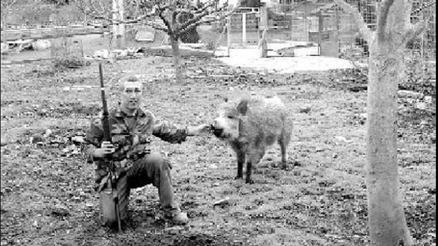 José Ramón Amor, con una jabalina, en su granja.