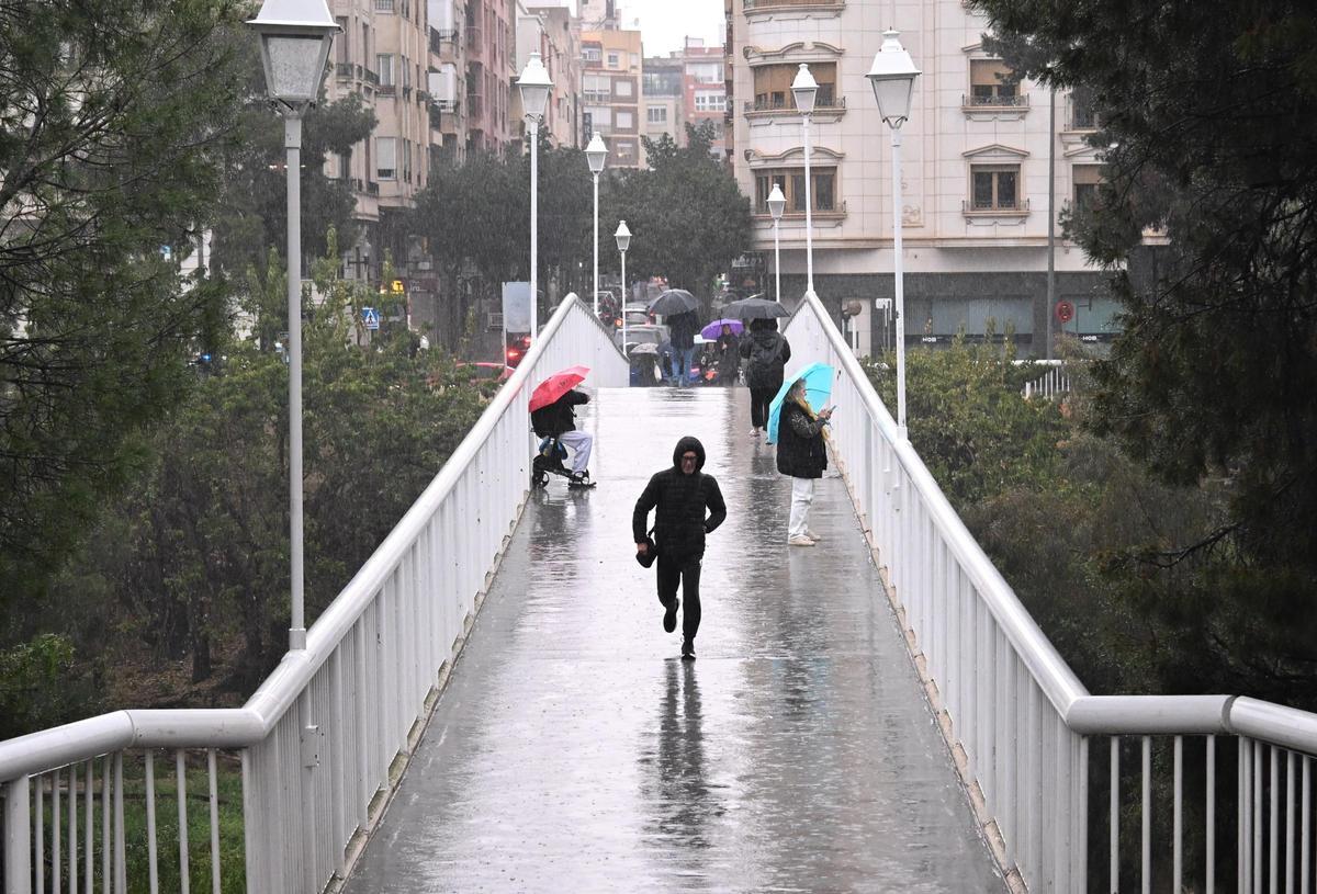 En dos horas llegaron a caer casi 60 litros en algunas zonas de la ciudad de Elche este martes