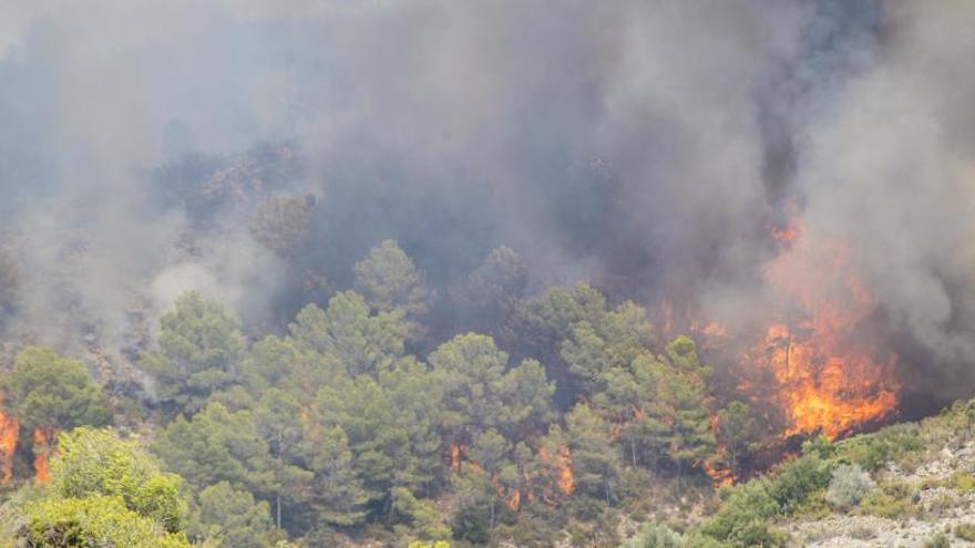 La Generalitat pacta un extra de 300 euros con los forestales