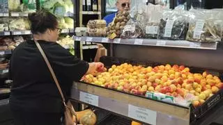 La lluvia devuelve el esplendor al albaricoque de Porreres: más producción, mejor calidad y primeros ecológicos en la cooperativa