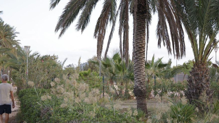 Jardín de Estrella de Mar, en Los Urrutias, uno de los muchos para los que se busca una empresa de mantenimiento y limpieza.