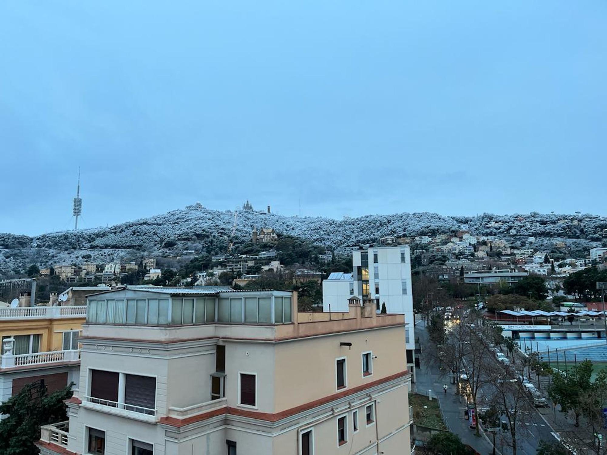 La neu enfarina Barcelona