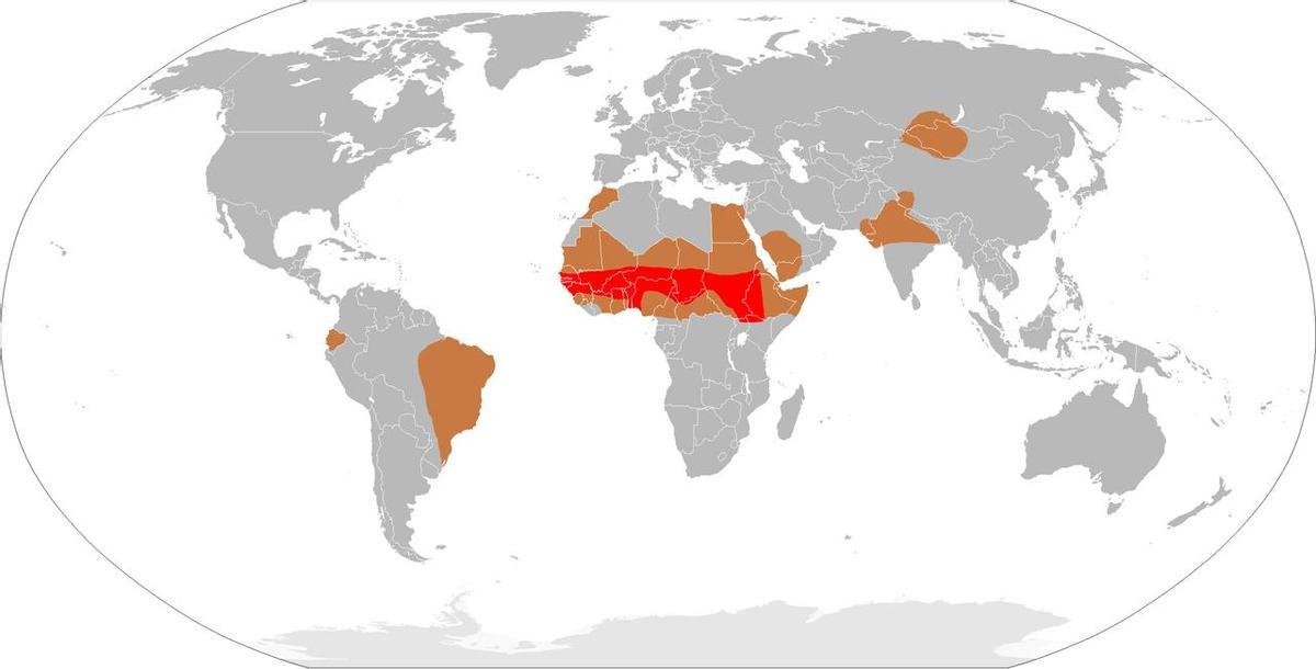 Mapa del cinturón de meningitis (en rojo) y regiones de alto riesgo de epidemias (marrón)
