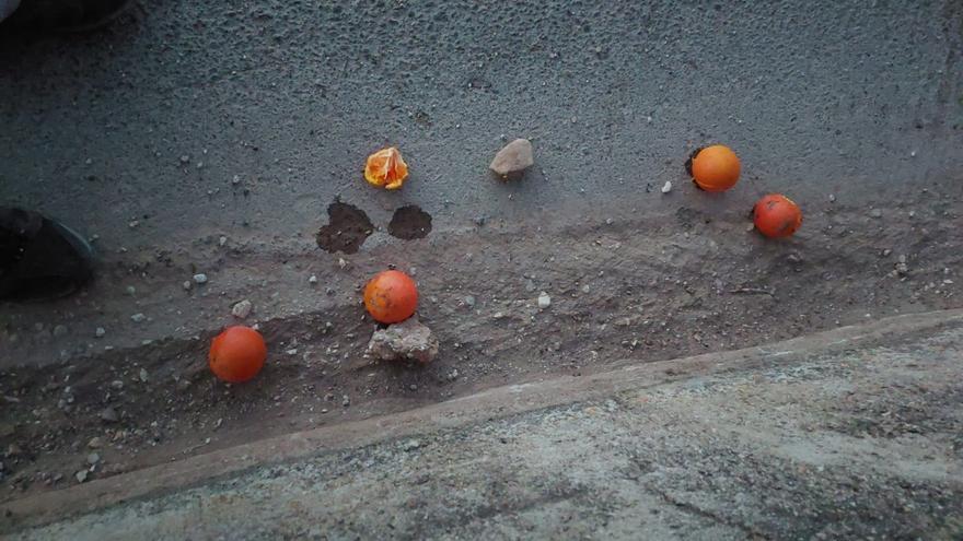 Peligrosa gamberrada en Xàbia: lanzan naranjas y piedras a los coches