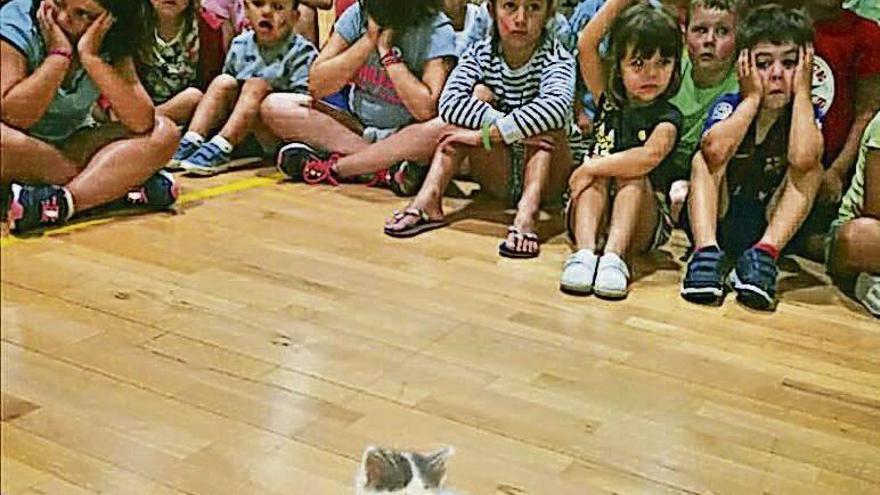 Una actividad de la asociación en un campamento infantil. // S.A.