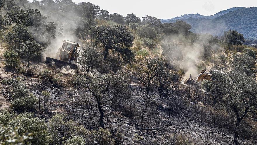 Estabilizado el incendio de Villaharta tras una madrugada de intenso trabajo