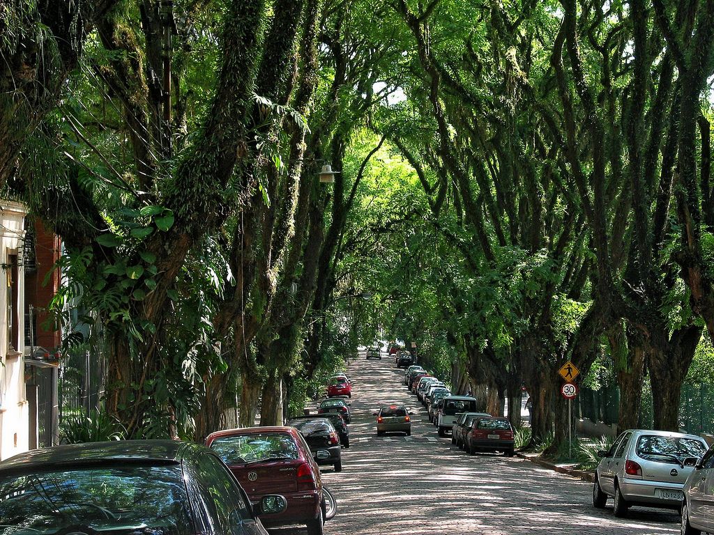 Rua Gonçalo de Carvalho, Brasil