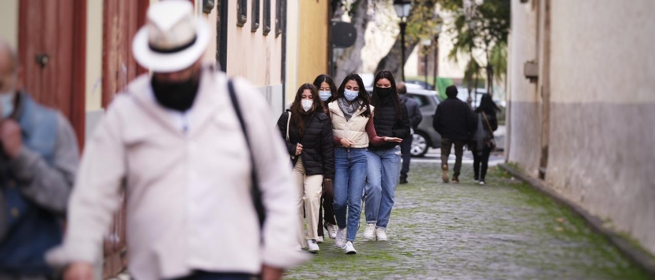 Varias personas con mascarilla pasean por La Laguna.