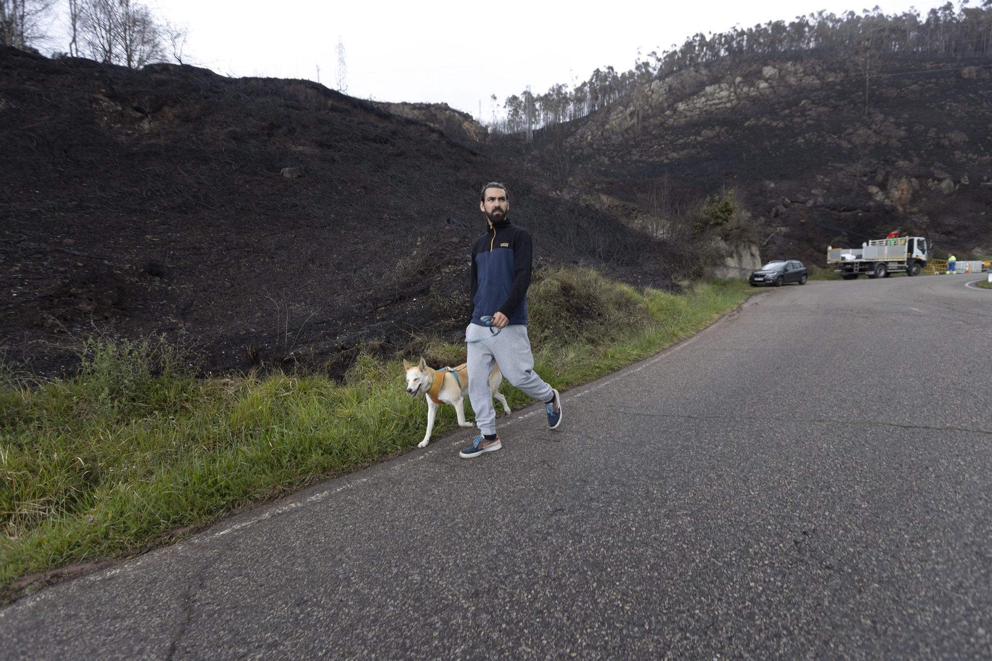 El aspecto del Naranco tras unos incendios históricos