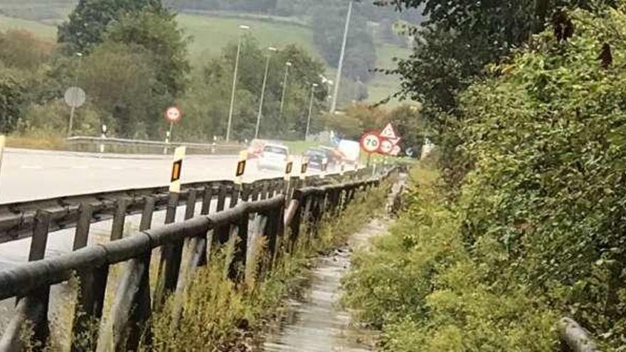 Abandono de la senda de Arriondas a Cangas de Onís