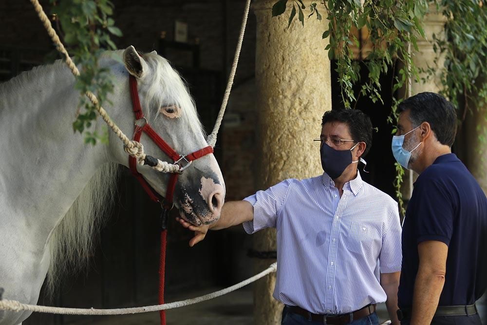 Presentación de Cabalcor 2020