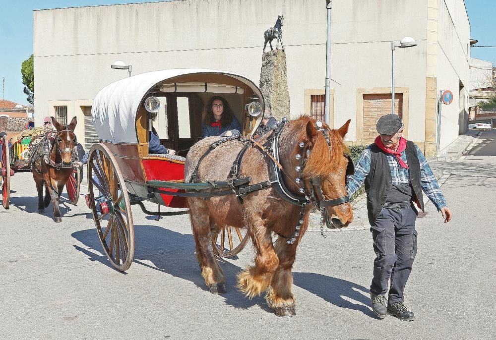 Festa de Sant Antoni de Sant Vicenç de Castellet