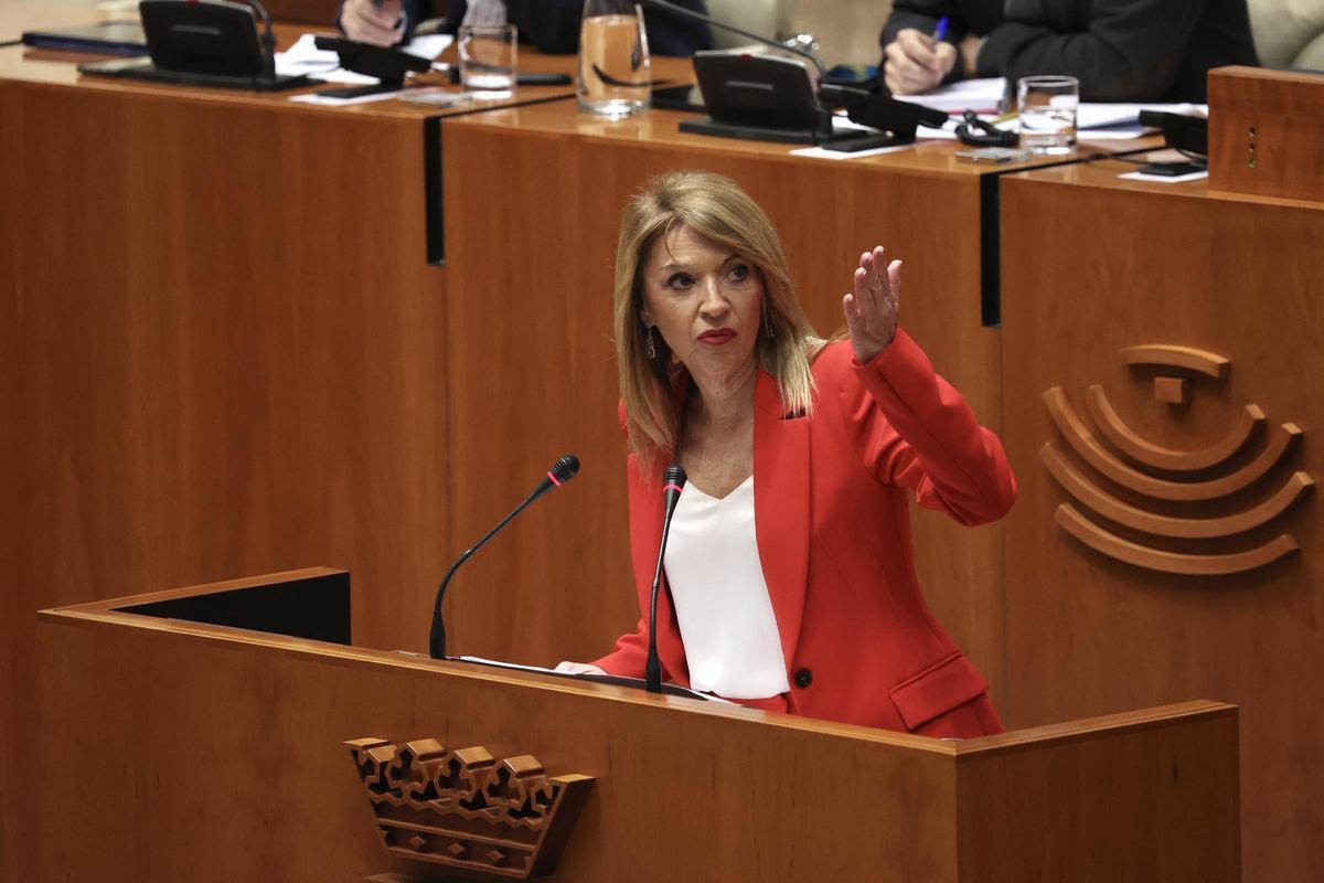 Piedad Álvarez en el pleno de investidura