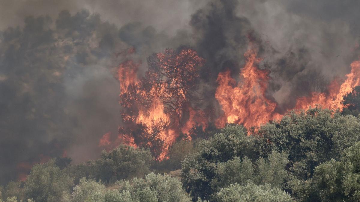 Tras cuatro días de incendio en la Vall d'Ebo, la climatología puede ponerse a favor de los bomberos.