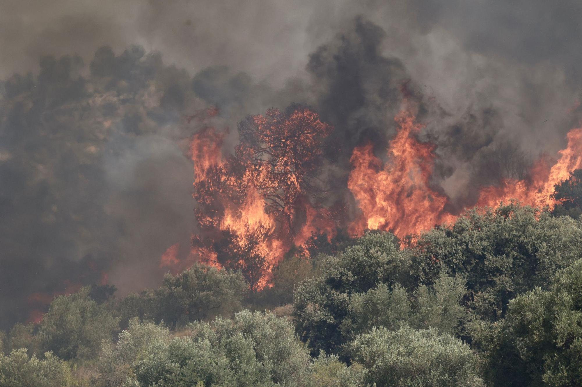 Tras cuatro días de incendio en la Vall d'Ebo, la climatología puede ponerse a favor de los bomberos.