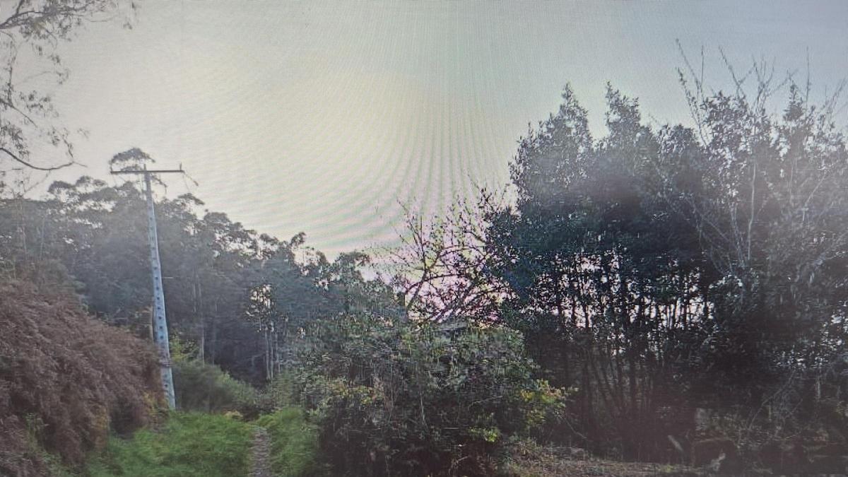 Lugar donde se pretende construir el campamento turístico, en O Hío