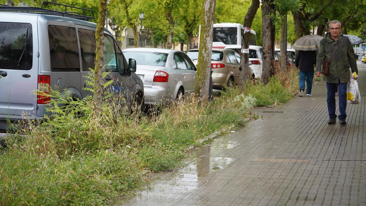 Aceras de la avenida Reyes Católicos, un día de lluvia.