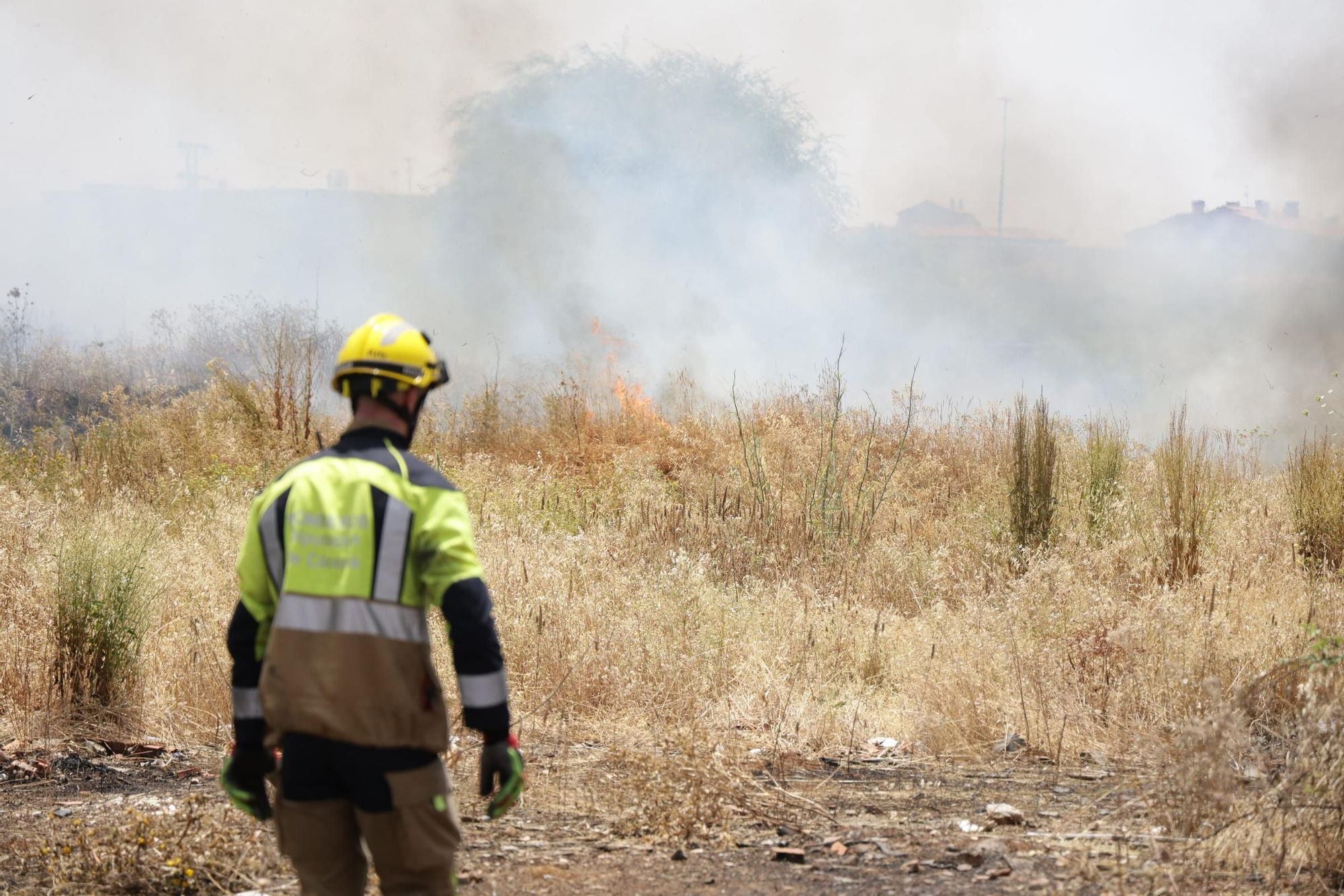 El Incendio en el Cerro de los Pinos, en imágenes