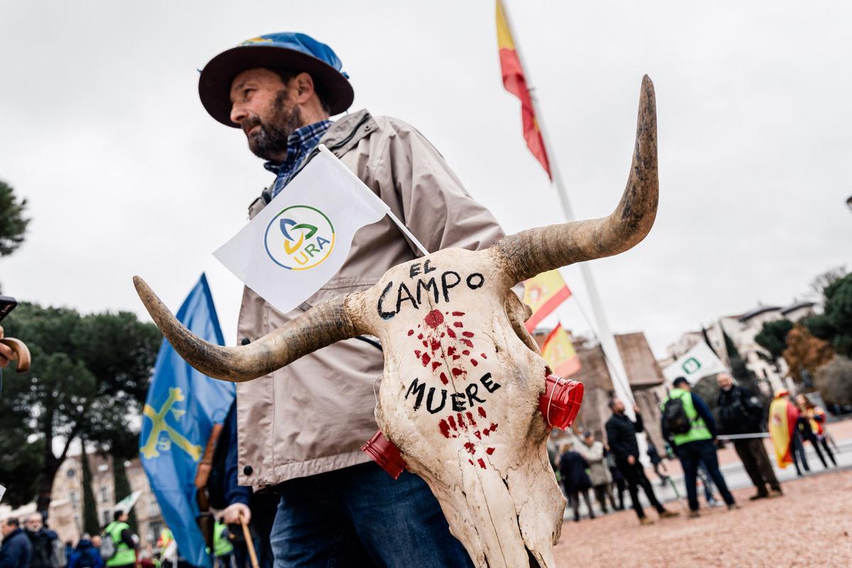 Un agricultor asturiano se dirige a la concentración en la plaza de Colón, este 11 de febrero de 2026, en Madrid.