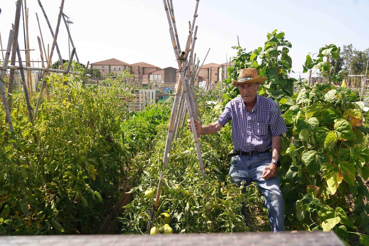 Décimo aniversario del huerto urbano más grande de la capital malagueña.
